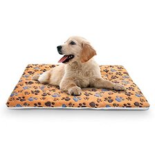 Nobleza podložka obojstranná plyšová labková 100x75x3cm